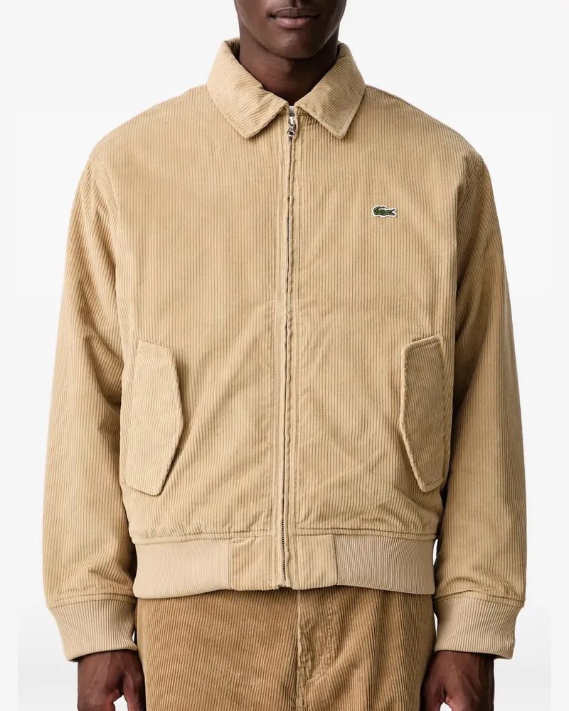 Lacoste padded corduroy bomber jacket - Nude Nude
