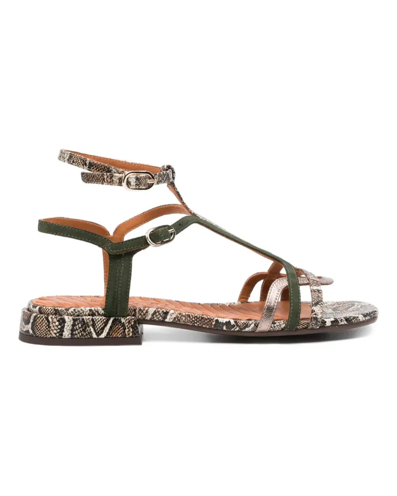 Chie Mihara Tylala Riemensandalen mit T-Riemen - Nude Nude