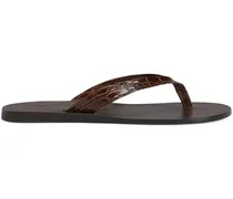 Philemon Flip-Flops - Braun