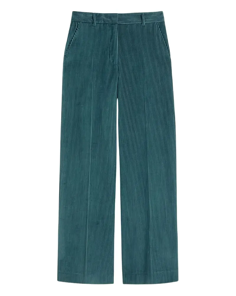 Max Mara Hose aus Cord - Blau Blau