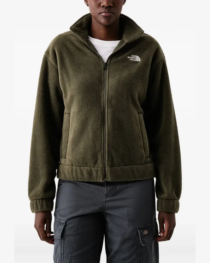 The North Face Fleecejacke mit Kragen - Grün Grün