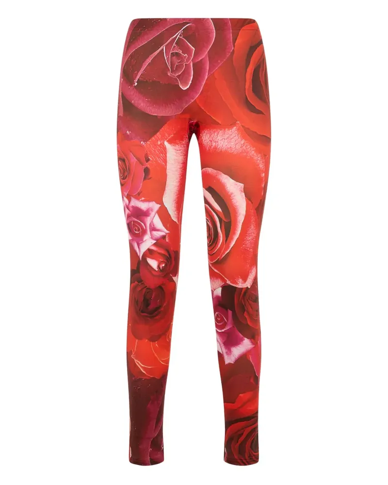 Roberto Cavalli Leggings mit Garden Rose-Print - Rot Rot