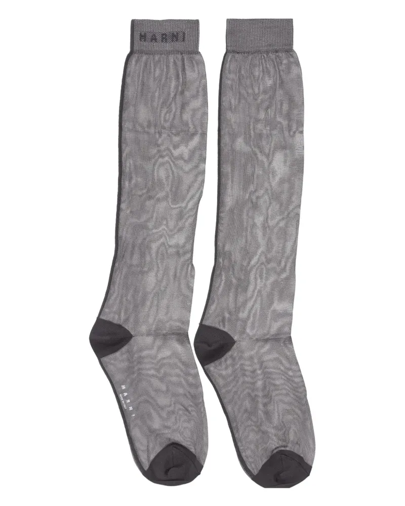 Marni sheer socks - Grau Grau