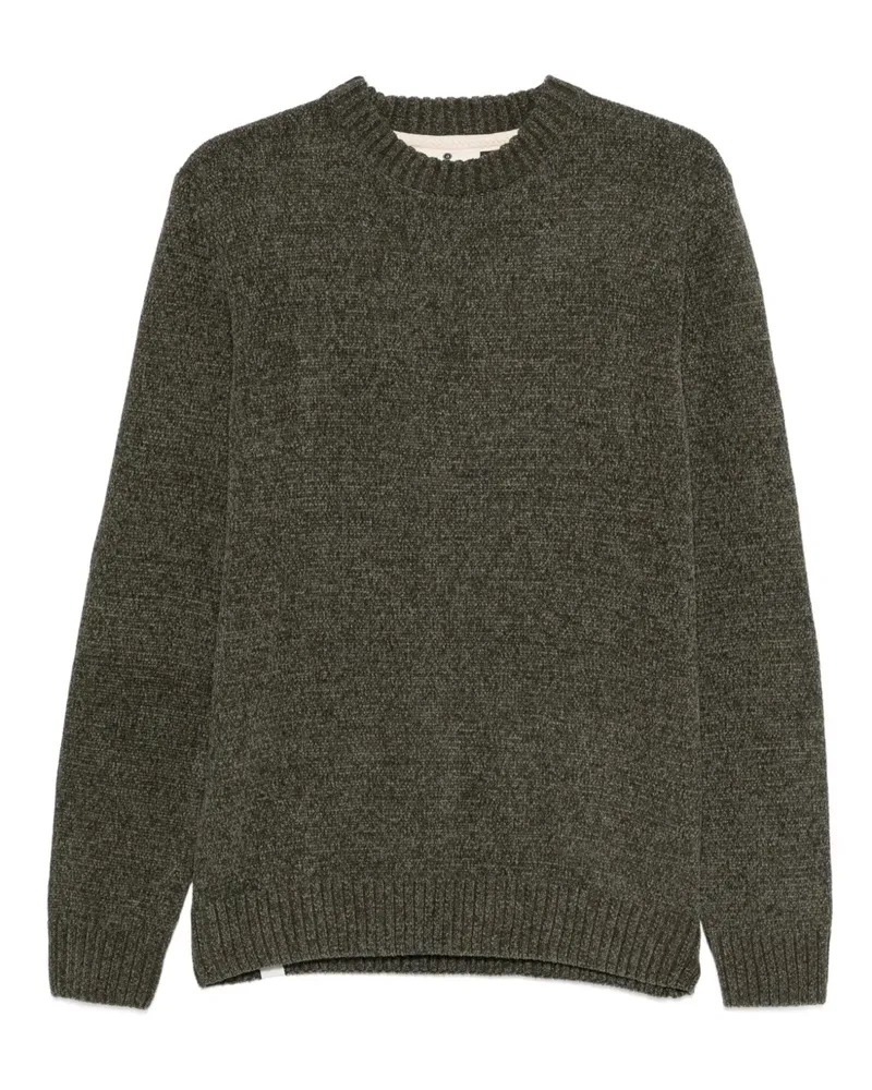 Anerkjendt Pullover mit rundem Ausschnitt - Grün Grün