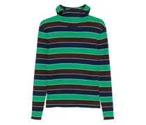 Gestreifter Pullover mit Tierohren - Grün