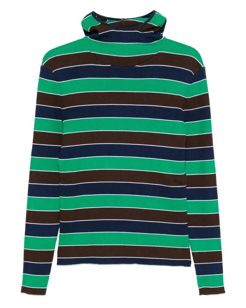 Charles Jeffrey Loverboy Gestreifter Pullover mit Tierohren - Grün Grün