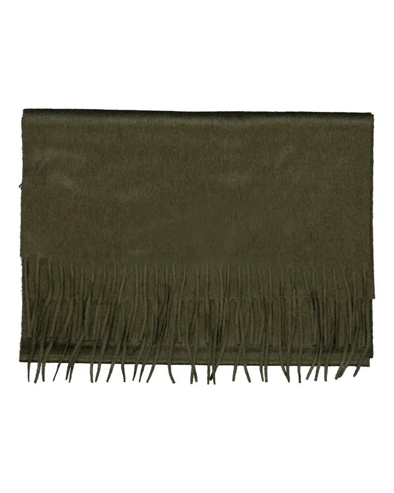 Gabriela Hearst Blaine brushed scarf - Grün Grün
