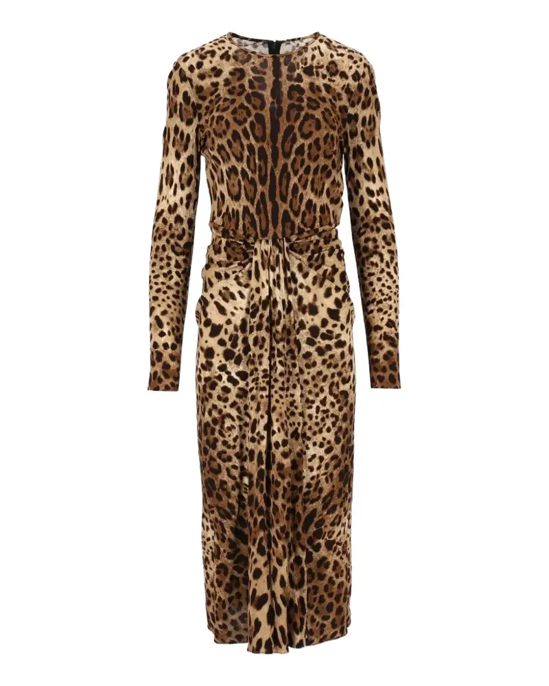 Dolce & Gabbana Viskose-Jersey-Kleid mit Leo-Print - Braun Braun