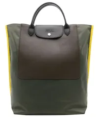 Longchamp Mittelgroße Cabas Handtasche Grün