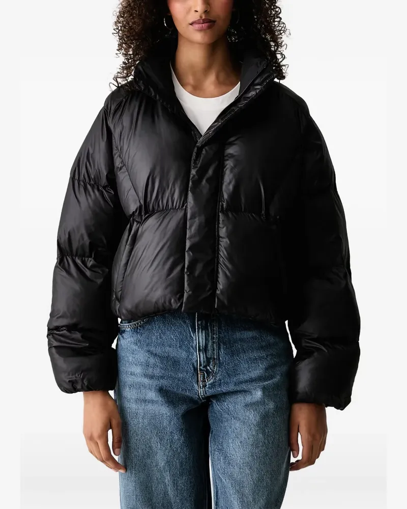 Vans padded puffer jacket - Schwarz Schwarz