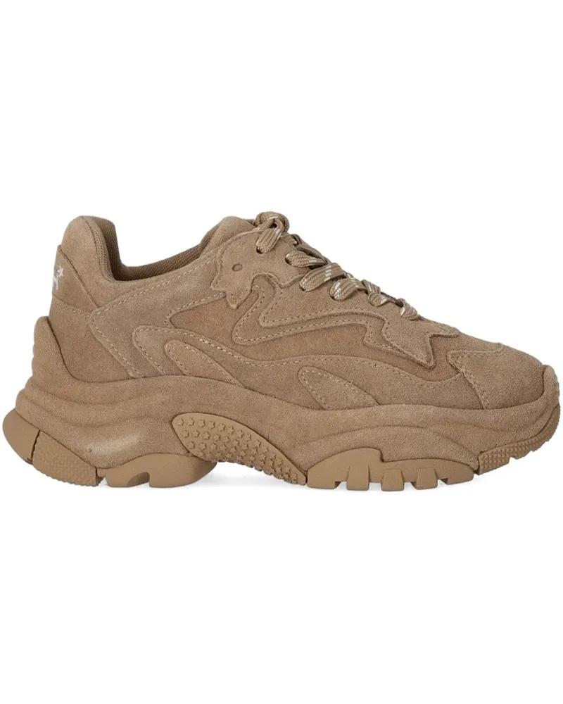 ash Addict Sneakers aus Wildleder - Braun Braun