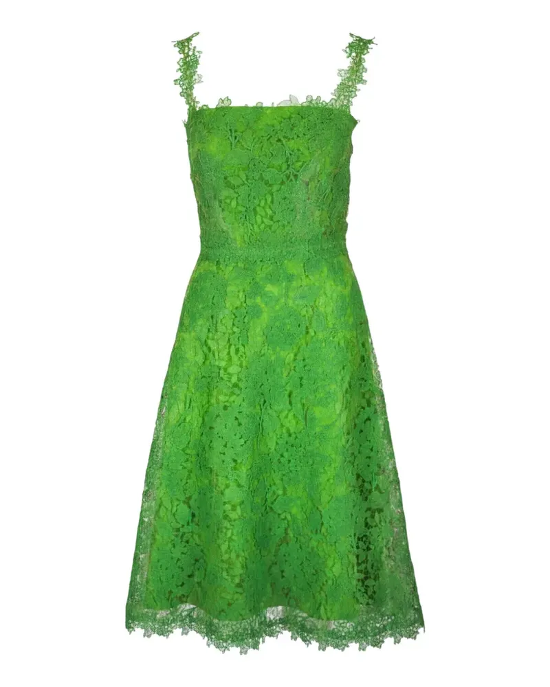 Carolina Herrera New York Hydrangea guipure-lace midi dress - Grün Grün
