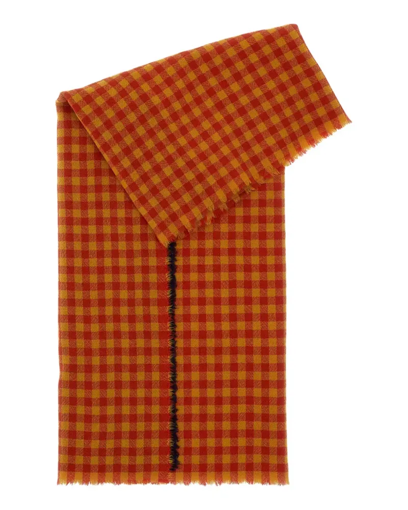Daniela Gregis gingham-check cashmere scarf - Braun Braun
