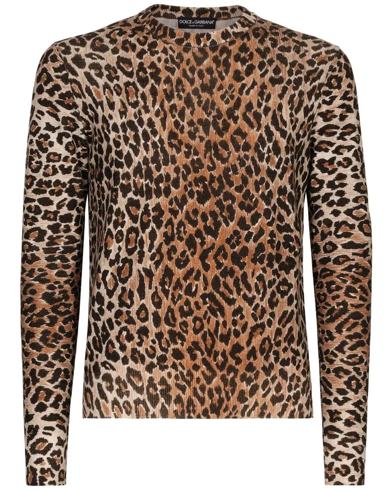 Dolce & Gabbana Pullover mit Leoparden-Print - Braun Braun