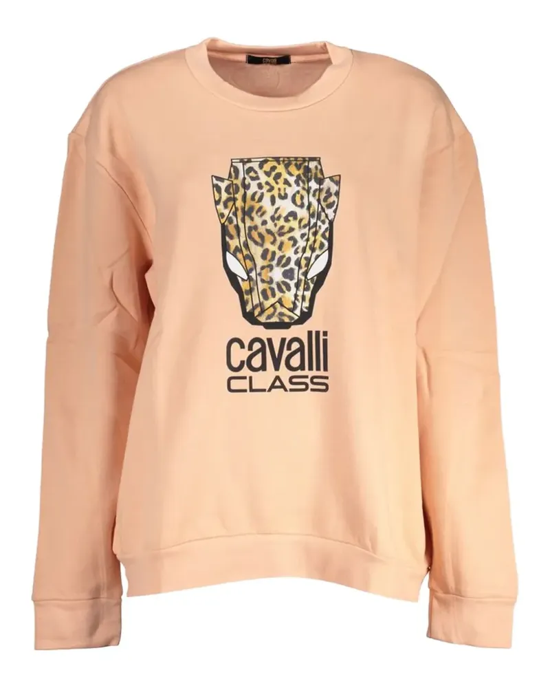 Roberto Cavalli leopard-print sweater - Nude Nude
