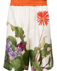 Pierre-Louis Mascia Bermudas mit Blumen-Print Nude