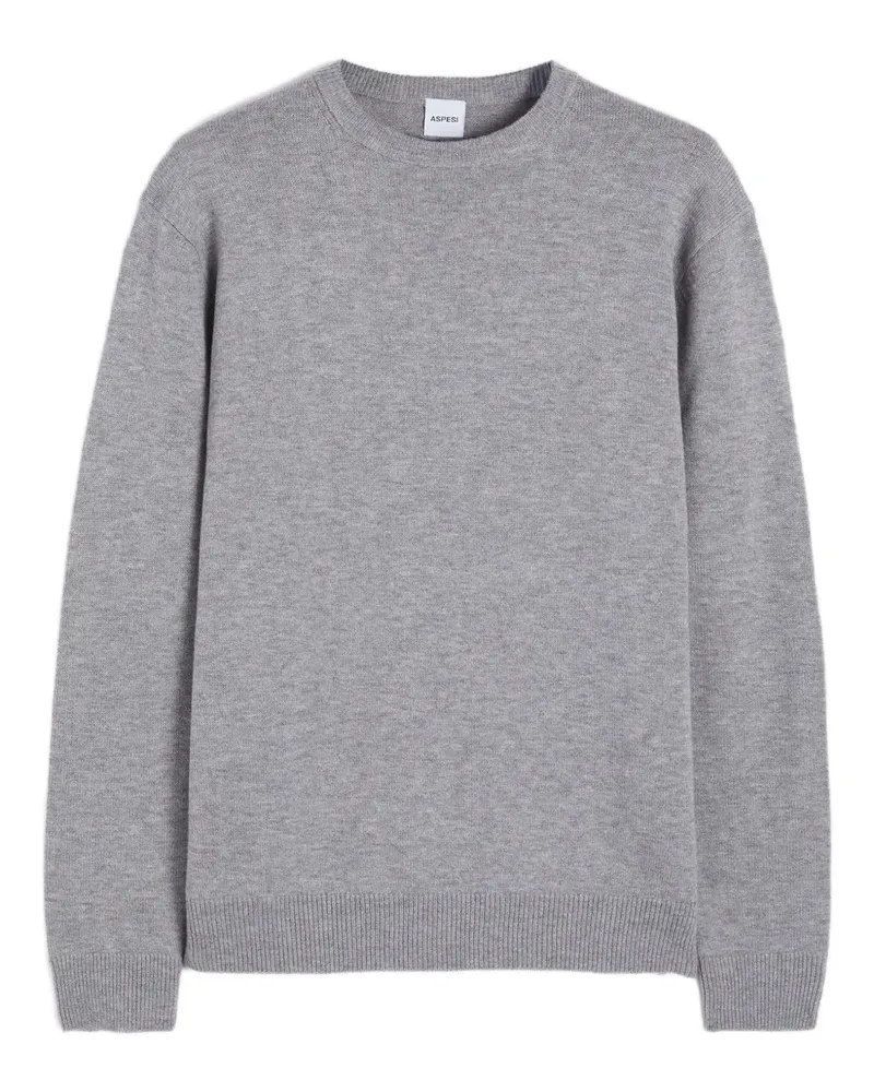 ASPESI Pullover mit Rundhalsausschnitt - Grau Grau