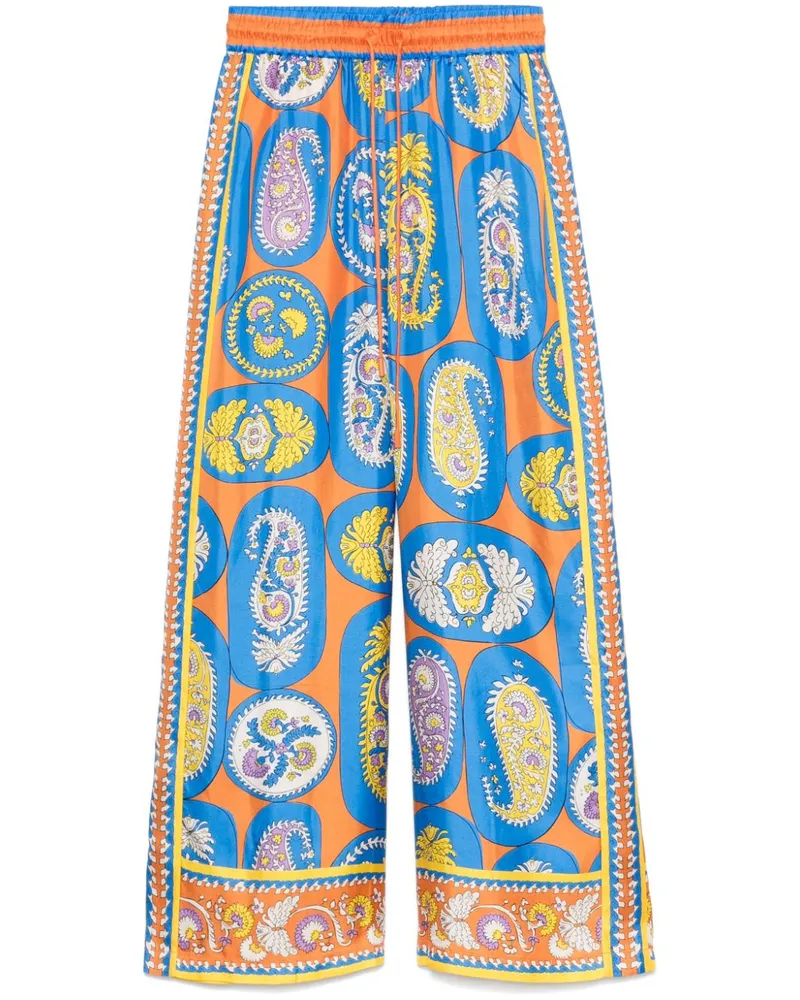 ALEMAIS Luis Hose - Orange Orange