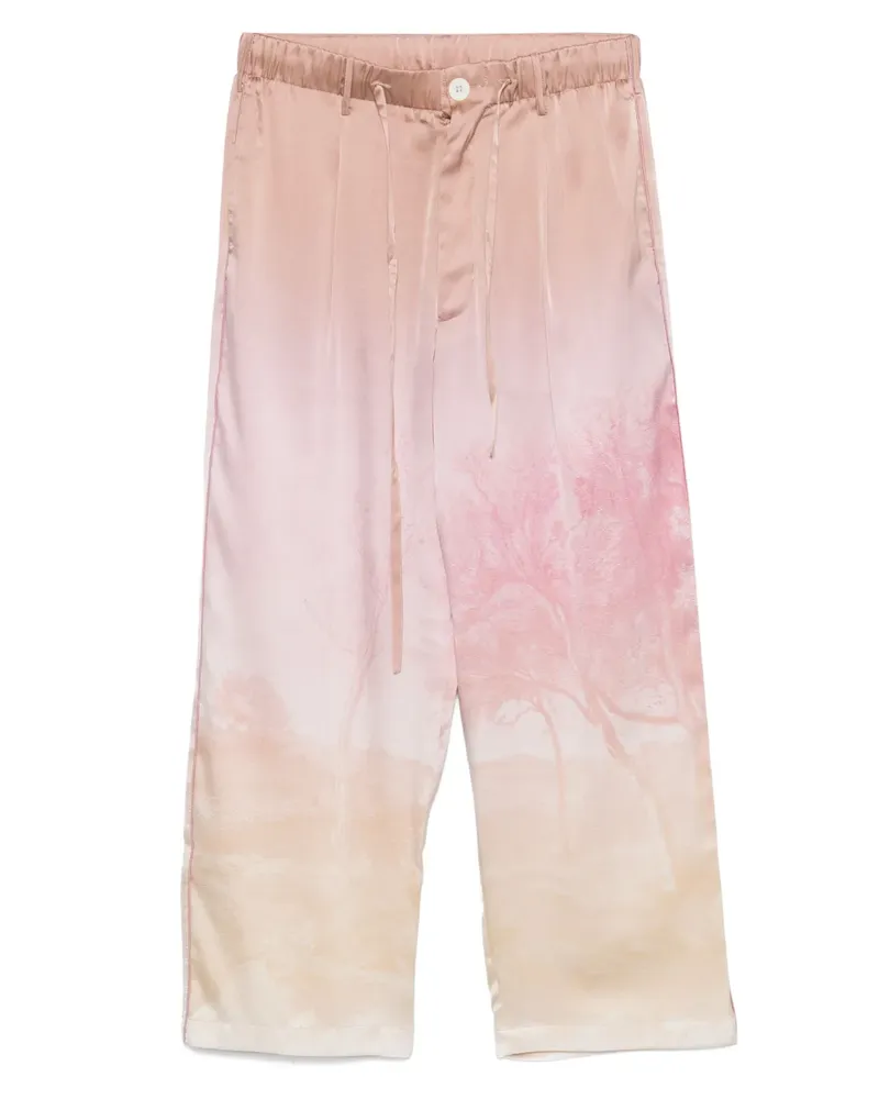 Pierre-Louis Mascia Ada Hose - Rosa Rosa