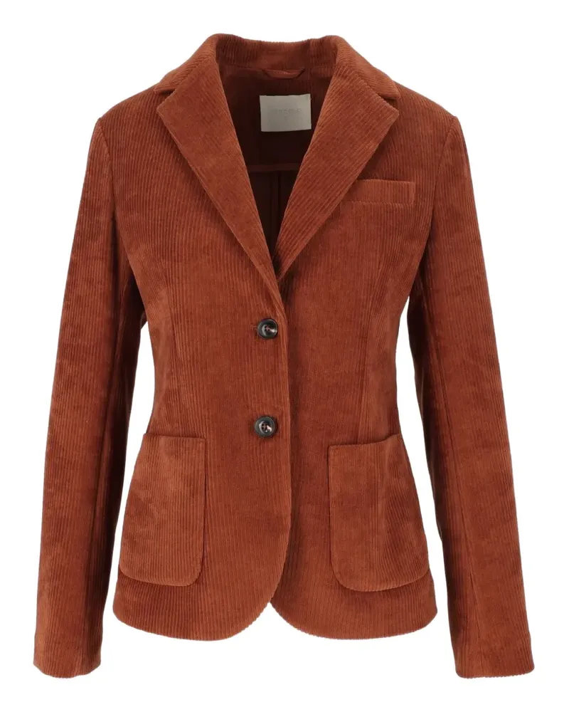 CIRCOLO 1901 Blazer aus Cord - Braun Braun