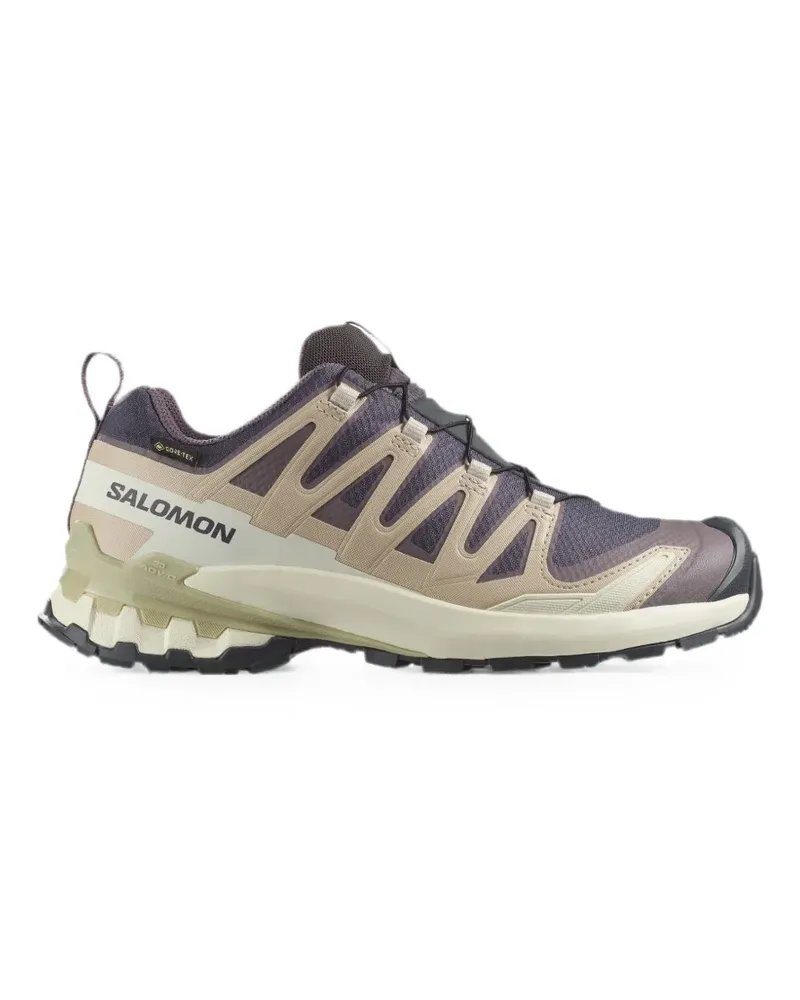 Salomon XA Pro 3D V9 Gore-Tex sneakers - Grau Grau