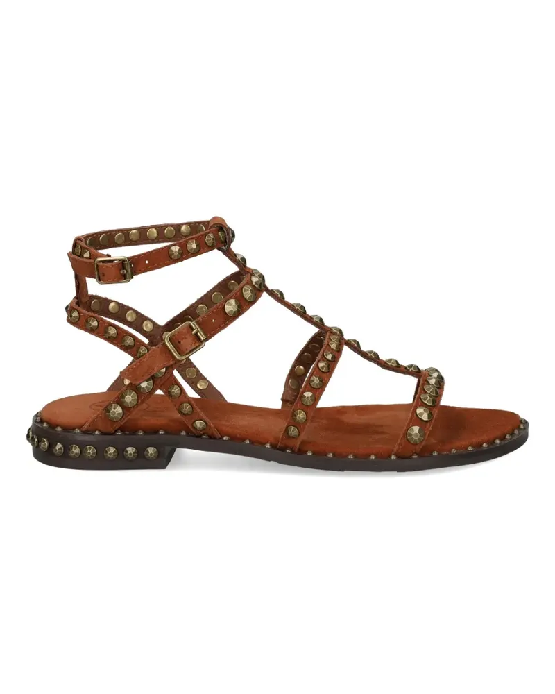 ash Precious stud-embellished sandals - Braun Braun
