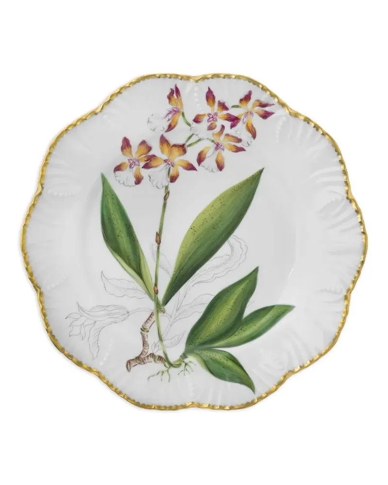 Pinto Paris Histoires D'orchidees Teller 26cm - Weiß Weiß