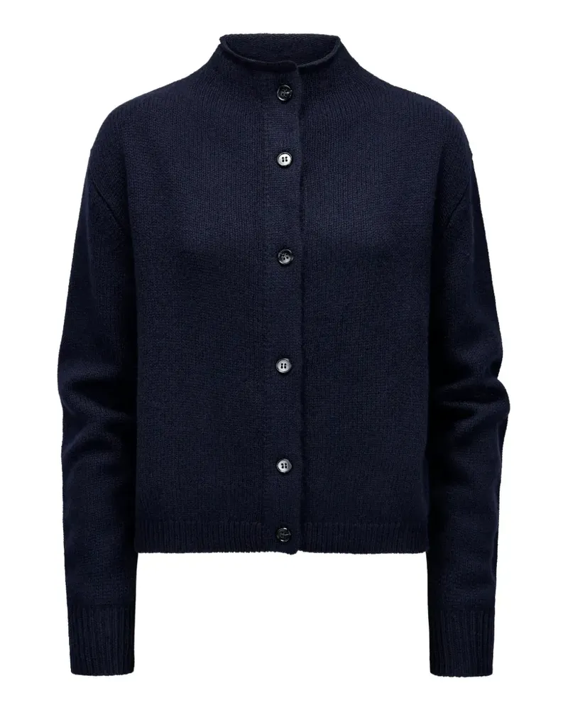 Lisa Yang button-fastening high-neck cardigan - Blau Blau