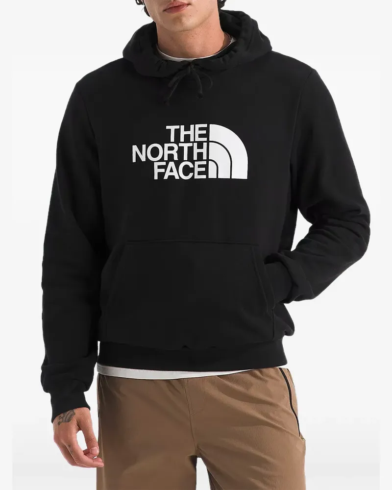 The North Face Sudadera Evolution Half Dome Hoodie - Schwarz Schwarz
