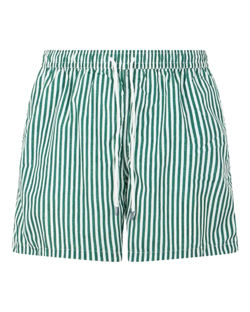 Fedeli striped drawstring-waist swim shorts - Grün Grün
