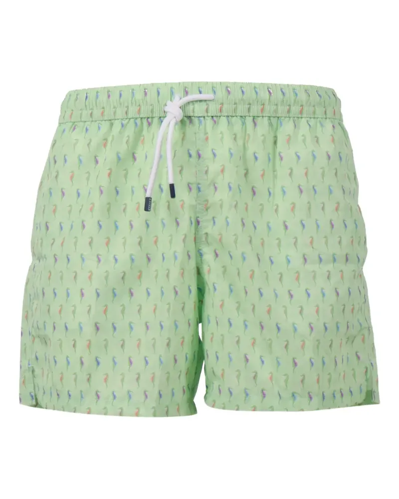 Fedeli seahorse print swim trousers - Grün Grün