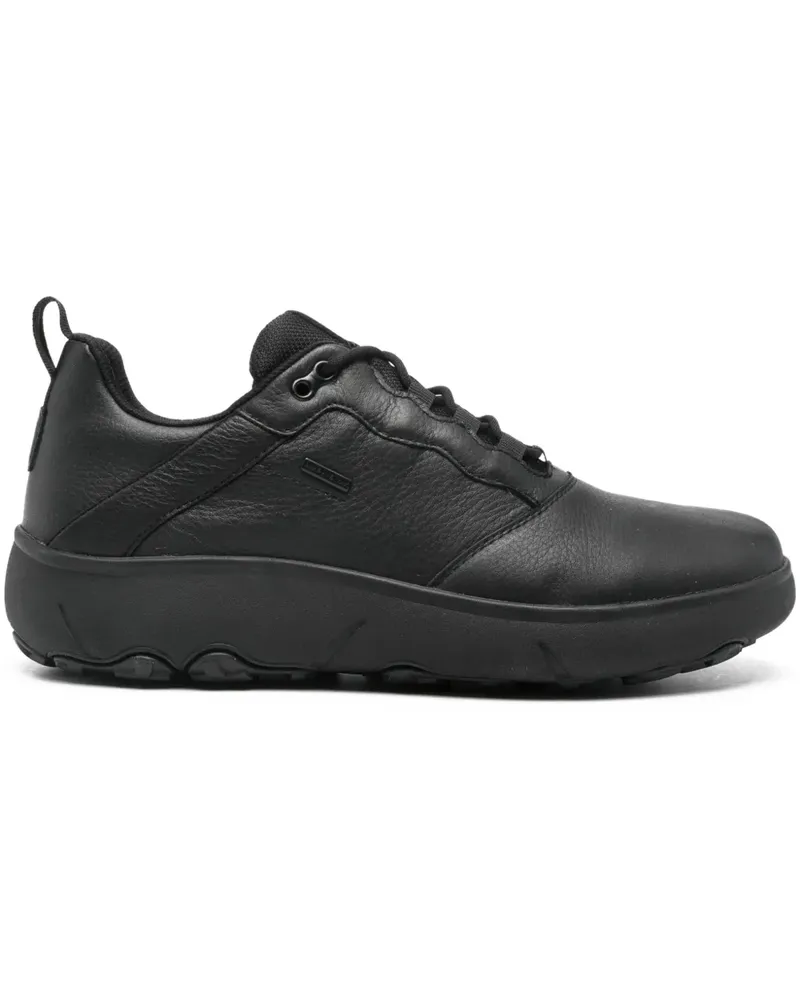 Geox Nebula Leisure Sneakers - Schwarz Schwarz