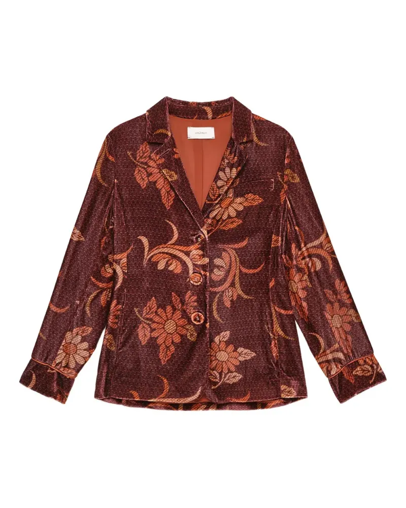 Maliparmi floral-print velvet blazer - Braun Braun