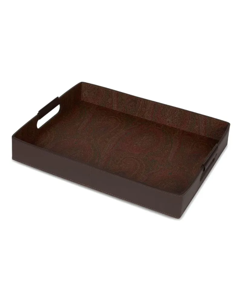 Etro Arnica tray (41cm x 32cm) - Braun Braun