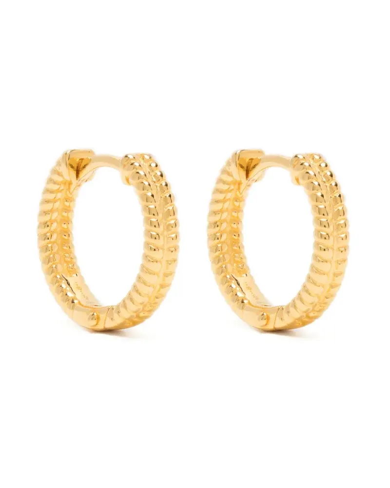 Eshvi Gedrehte Creolen - Gold Gold