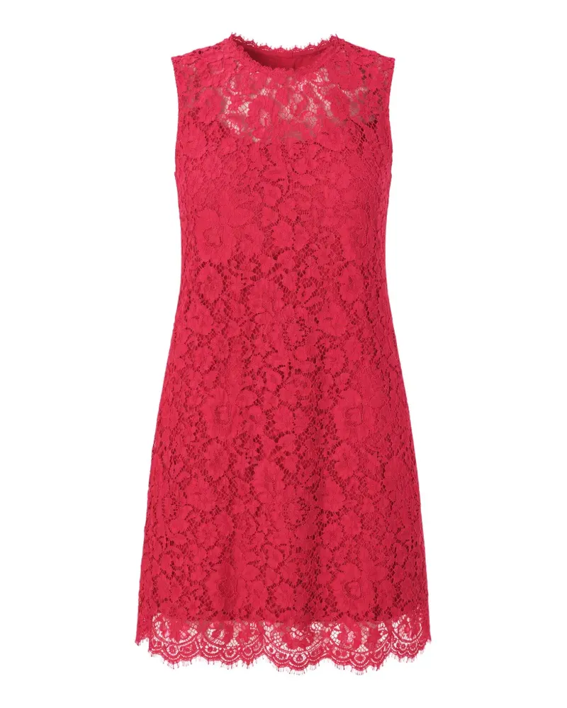Dolce & Gabbana Minikleid aus floraler Spitze - Rosa Rosa