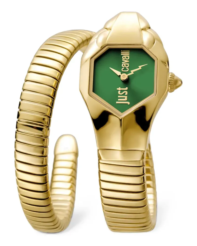 Just Cavalli Signature Snake Glam DNA 22mm watch - Grün Grün