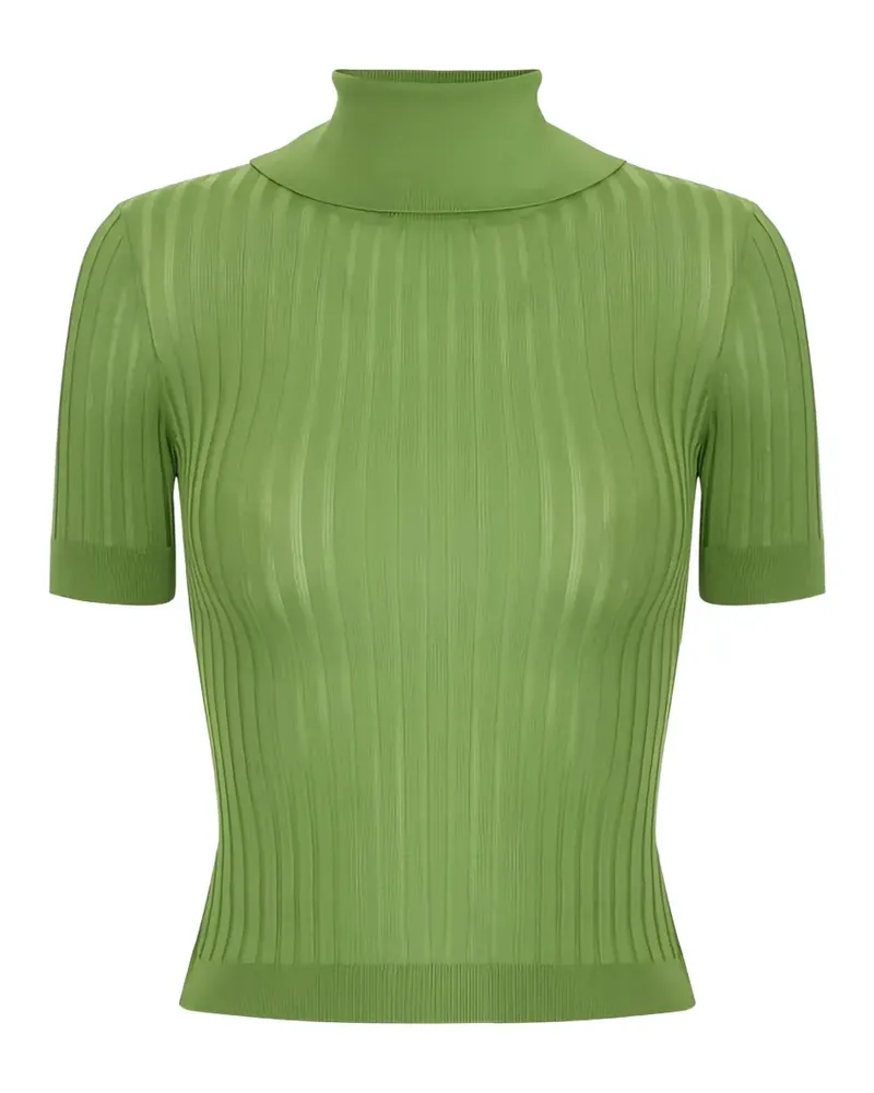 Elisabetta Franchi open-back logo-button sweater - Grün Grün