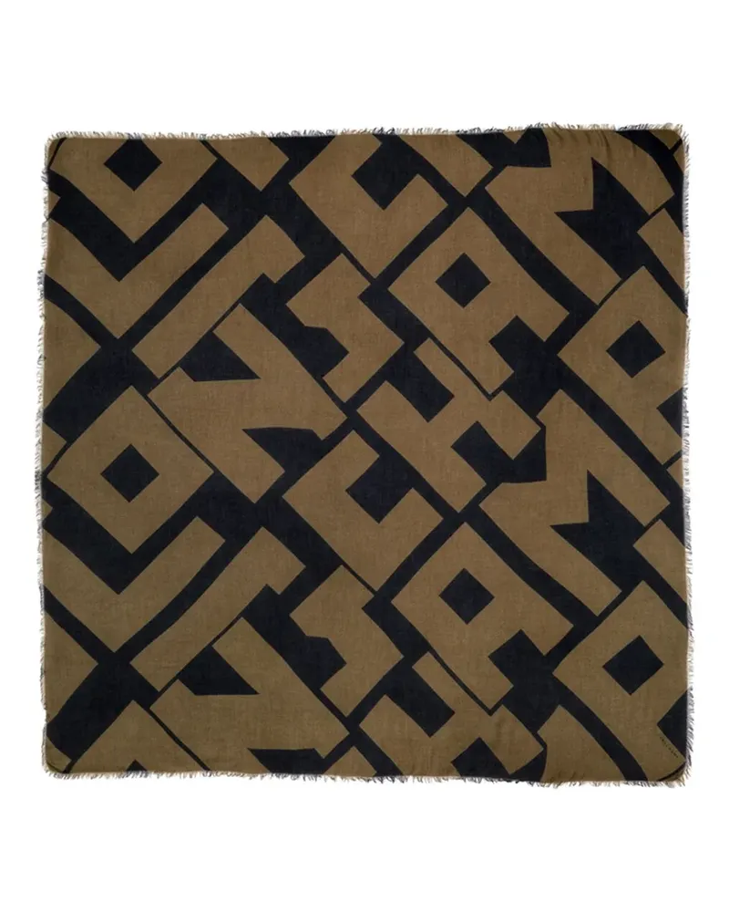 Longchamp fringed scarf - Braun Braun