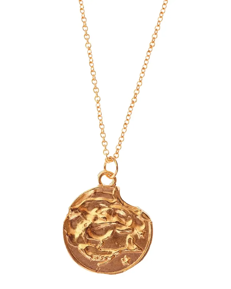 Alighieri The Pisces Medallion Halskette - Gold Gold