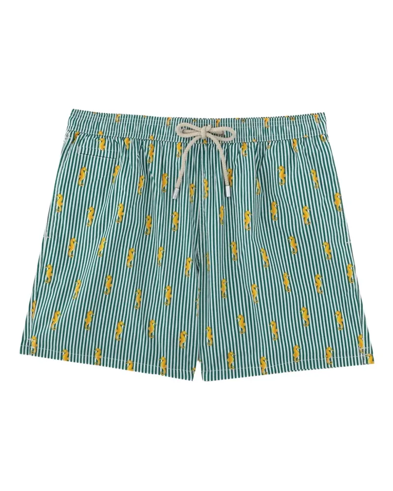 MC2 Saint Barth Gestreifte Badeshorts mit Seepferdchen-Print - Grün Grün