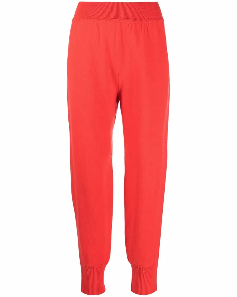 Alberta Ferretti Gestrickte Jogginghose - Rosa Rosa