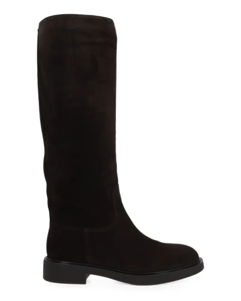 Gianvito Rossi Kniehohe Ascott Stiefel aus Wildleder - Braun Braun