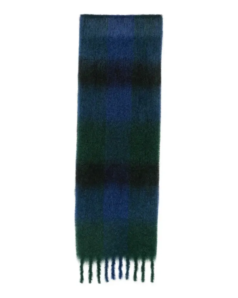 The Row Creana checked fringed scarf - Grün Grün