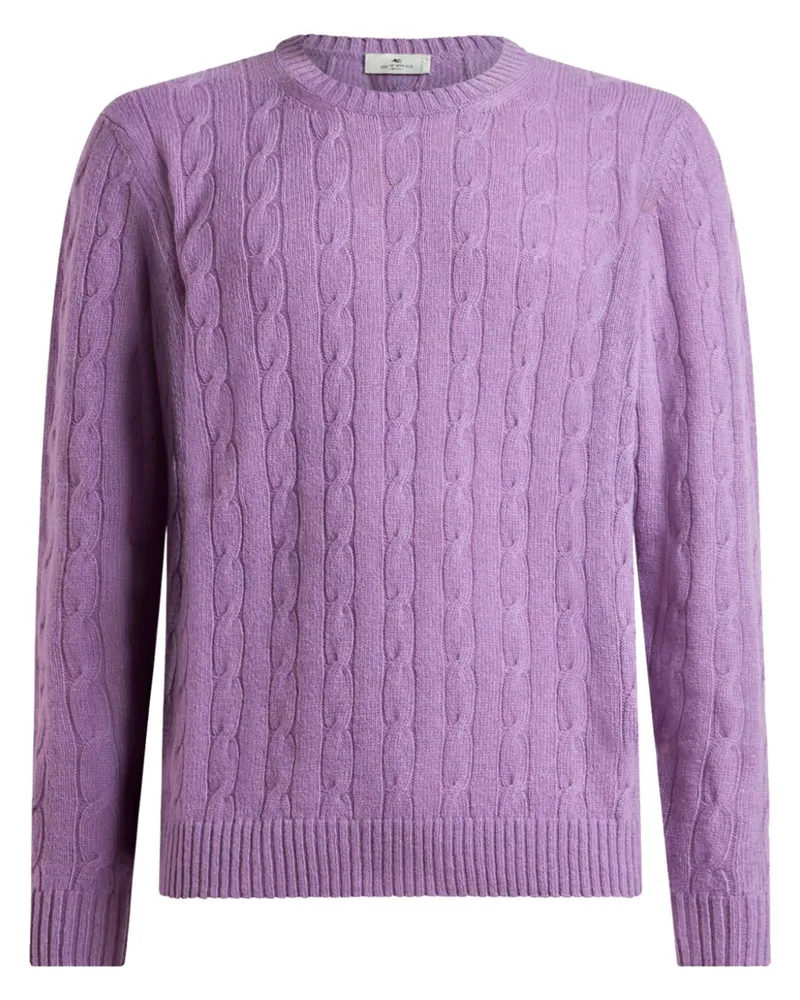 Etro Kaschmirpullover mit Zopfmuster - Violett Violett