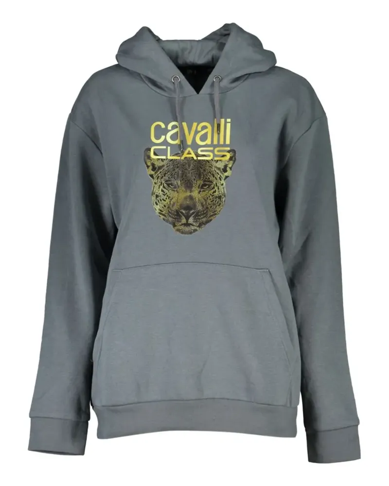 Roberto Cavalli leopard-print logo-print hoodie - Grau Grau