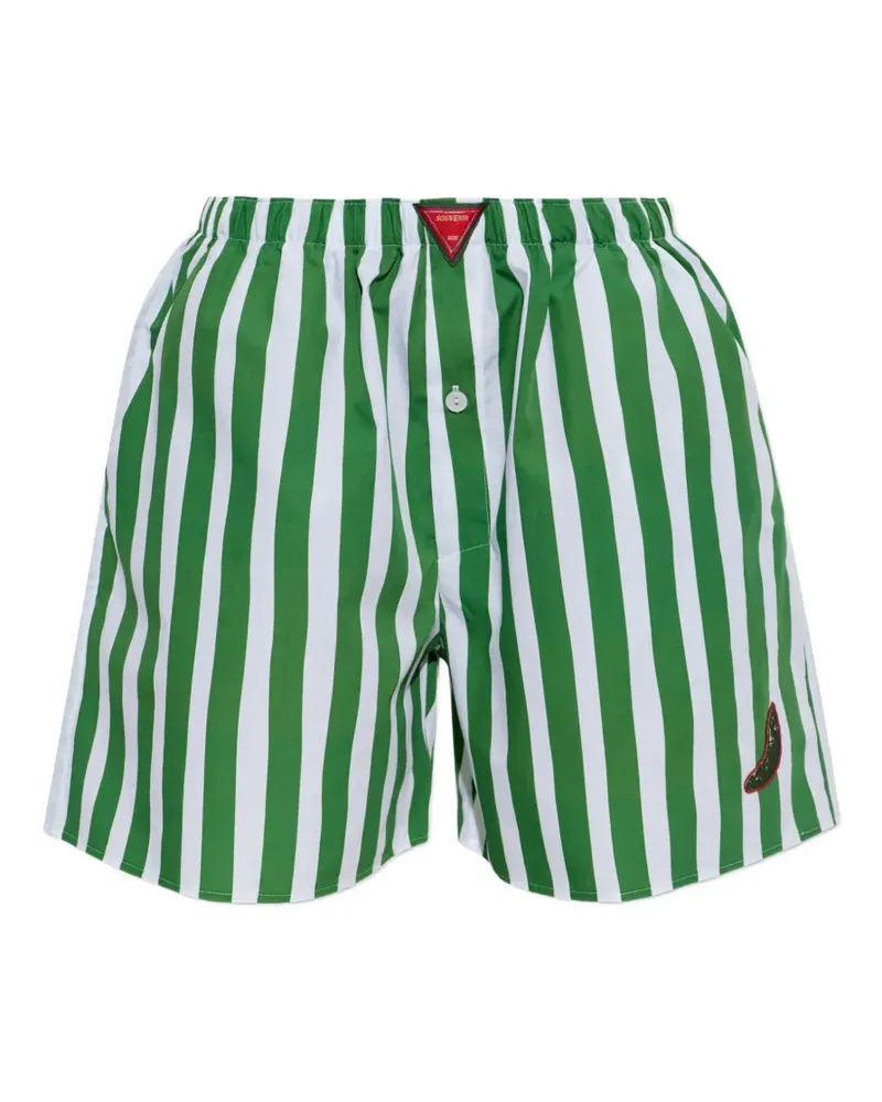 Hanro x Charlotte Adam striped shorts - Grün Grün