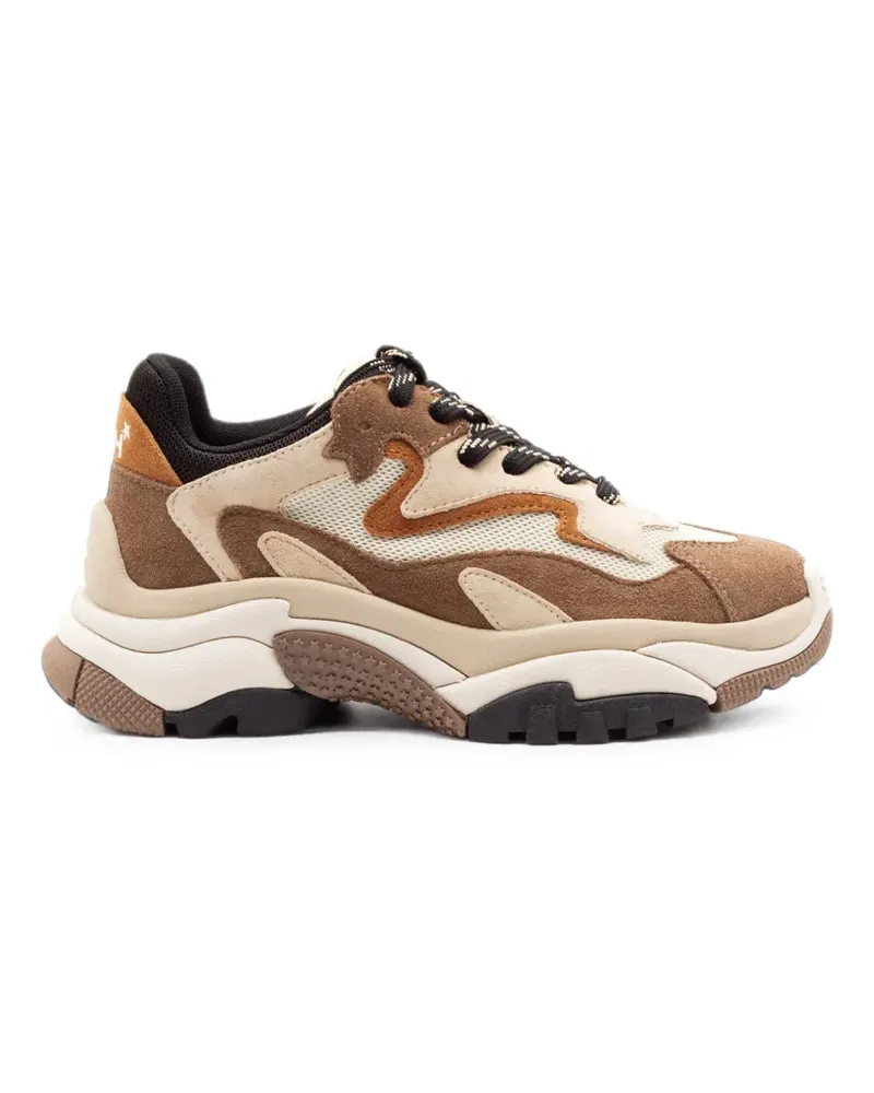 ash Addict 02 Sneakers mit Einsätzen - Braun Braun