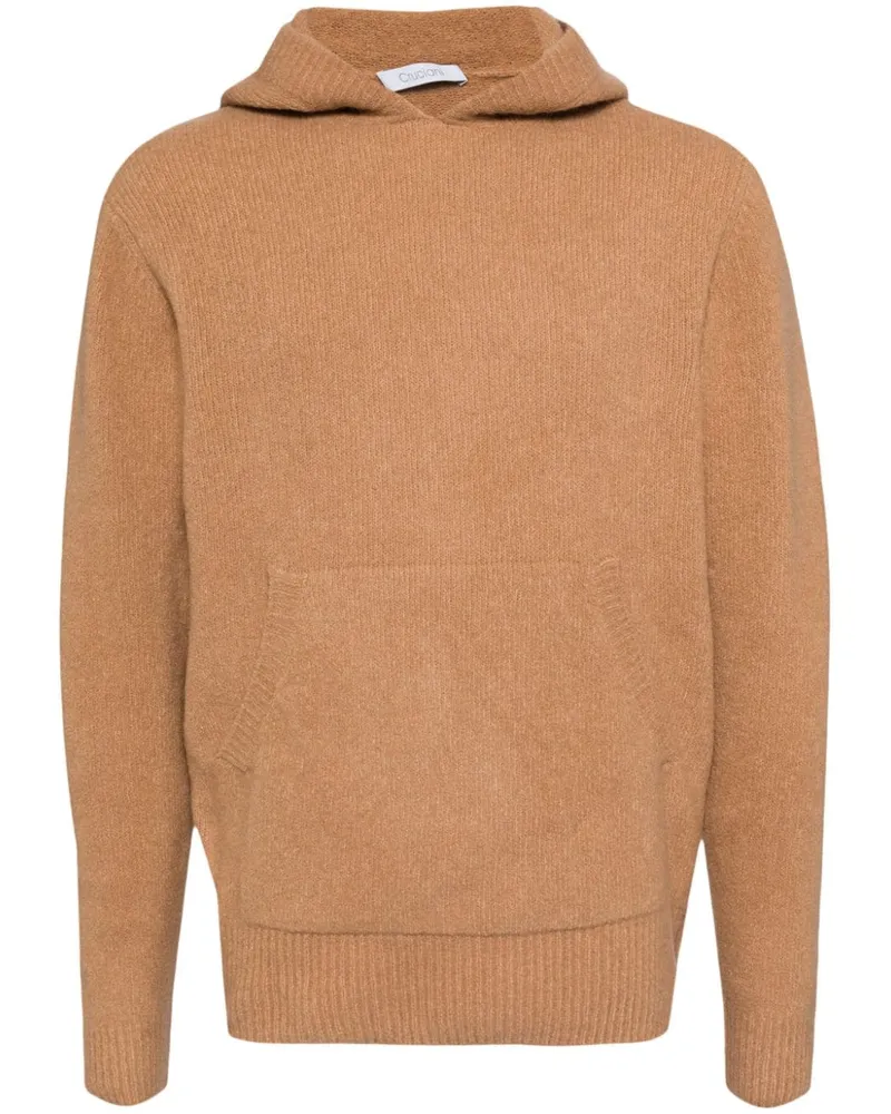 Cruciani Pullover mit Kapuze - Braun Braun