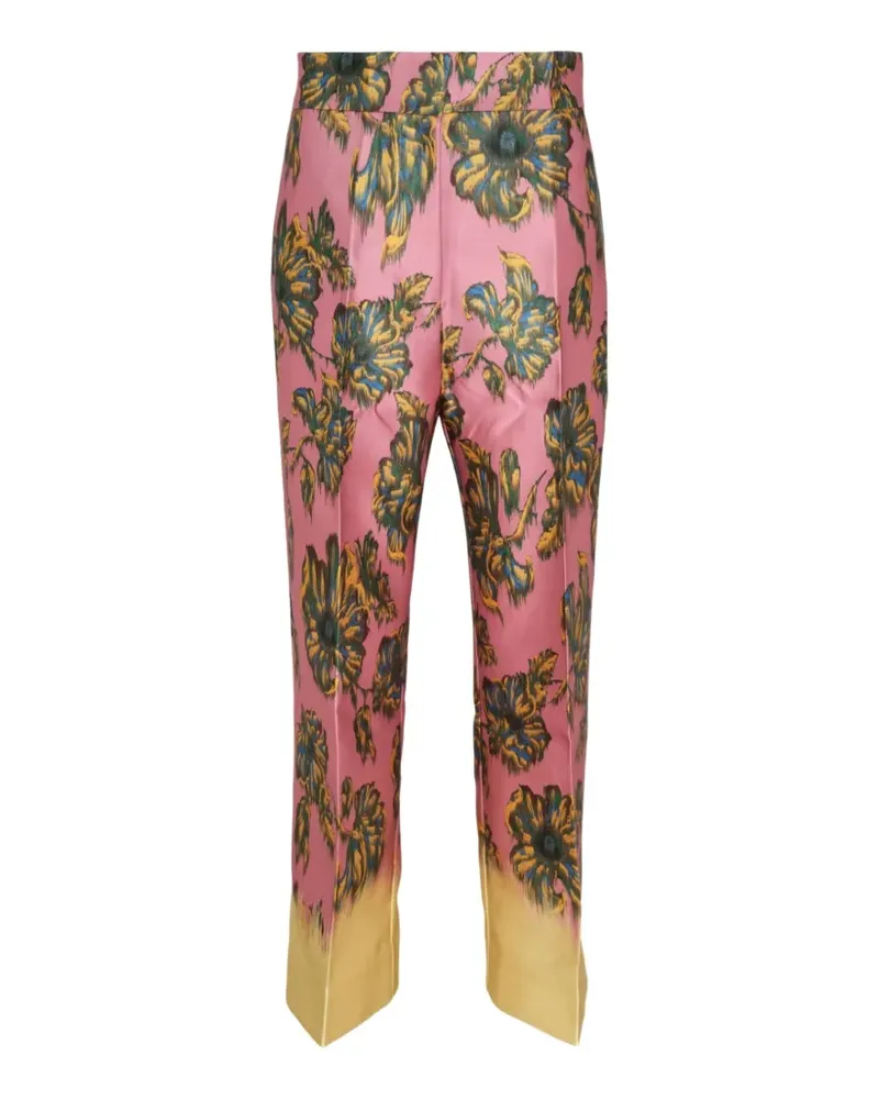 ALEMAIS Faye Hose - Rosa Rosa